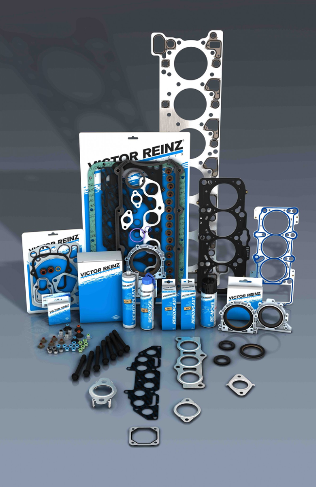Parts Expert Ovlašteni distributer za Danu - Victor Reinz 1